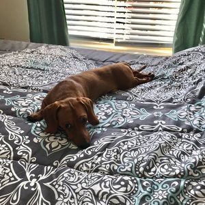 Meet your Posher, Ivette